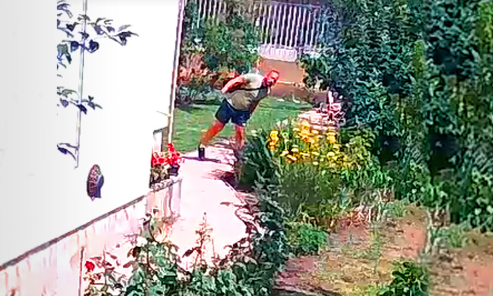 Döbbenetes videó! Pofátlan besurranó tolvajok vitték el a házaspár pénzét, amíg ők a kertben dolgoztak, felvétel készült a lopásról