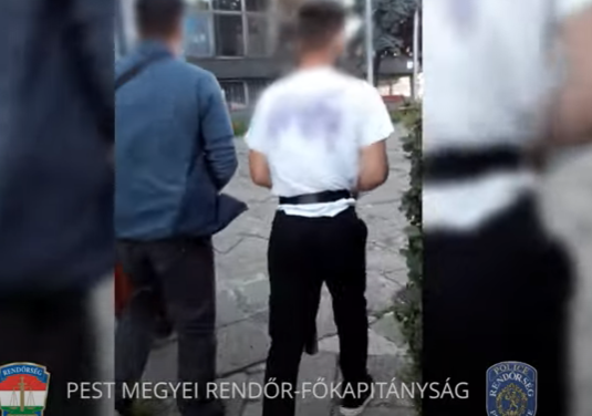 A lépcsőn lerángatva próbált kirabolni egy nőt a vasútállomáson, letartóztatták a tettest – videó