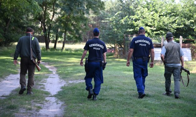 Idegméregtől elpusztult madártetemeket találtak Turánál, az emberre is veszélyes – Megindult a hajsza a tettes után, erre kér most mindenkit a rendőrség – videó