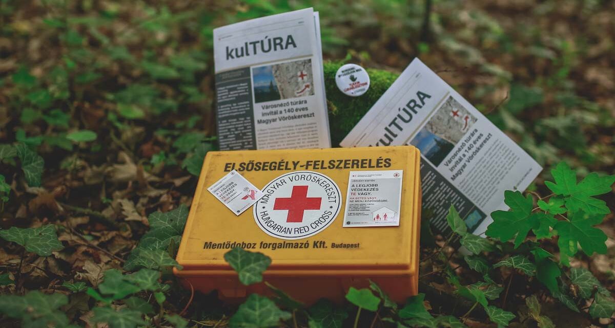 Kincskeresés a Vöröskereszttel, reggeli a KisVillában, retro a belvárosban, ókor Tácon, etűdök a Lóvasúton – tartalmas hétfői programok