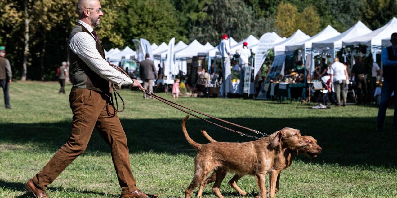 Egy óriási totem indult el a Hungexpóra, és ehhez köze van az államtitkárnak is