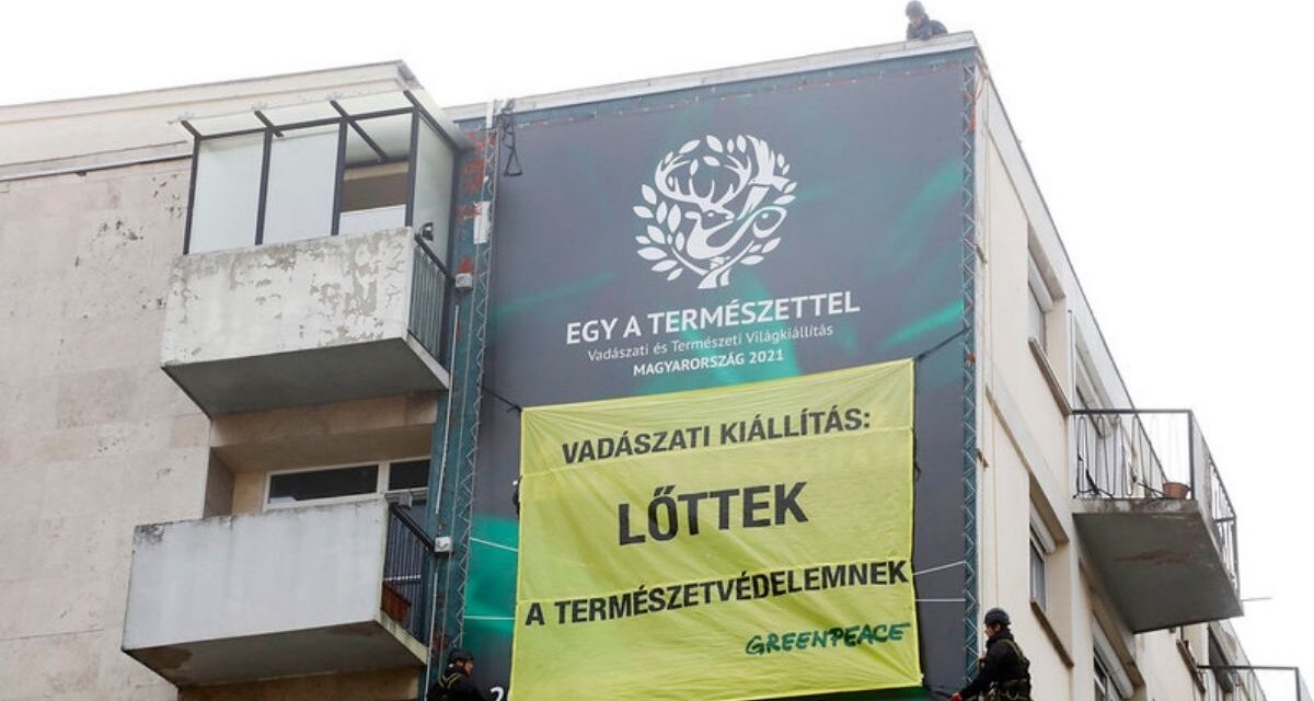 17 milliárd közpénz – A vadászati kiállítás ellen tüntetett a Greenpeace