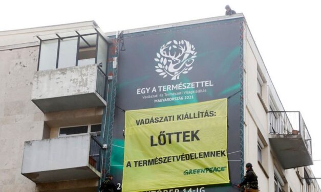 17 milliárd közpénz – A vadászati kiállítás ellen tüntetett a Greenpeace