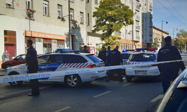 Ráugrott a rendőrautóra, majd rosszul lett egy férfi Józsefvárosban, a mentők már nem tudták újraéleszteni
