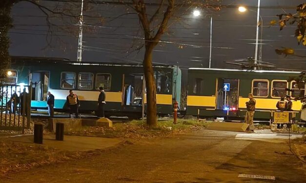 Kutyája rántotta a HÉV elé az idős gazdáját Csillaghegynél