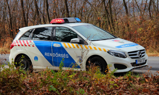 Megindult a szülés az M1-M7 bevezetőn, egy éppen arra járó rendőr segített a bajba jutott kismamának