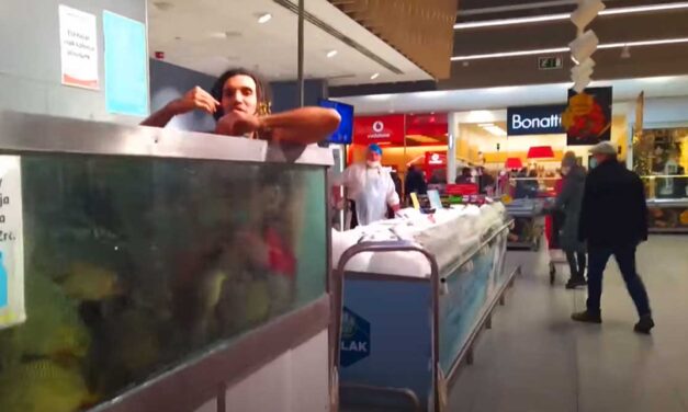 A budaörsi Auchan halaspultjánál letolta a nadrágját a férfi és szenteste napján bemászott a pontyok közé az akváriumba – Videó