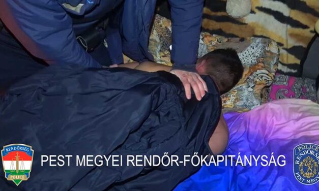 Hajnali rajtaütés az ágyban, a gödöllői rendőrök minden várakozását felülmúlta, amit a házban találtak