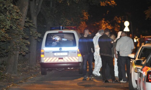 Kioltotta 18 éves barátnője életét, majd megbecstelenítette a holttestét, hogy ezzel is nehezítse a nyomozók munkáját: a piliscsévi lányra egy kertész talált rá