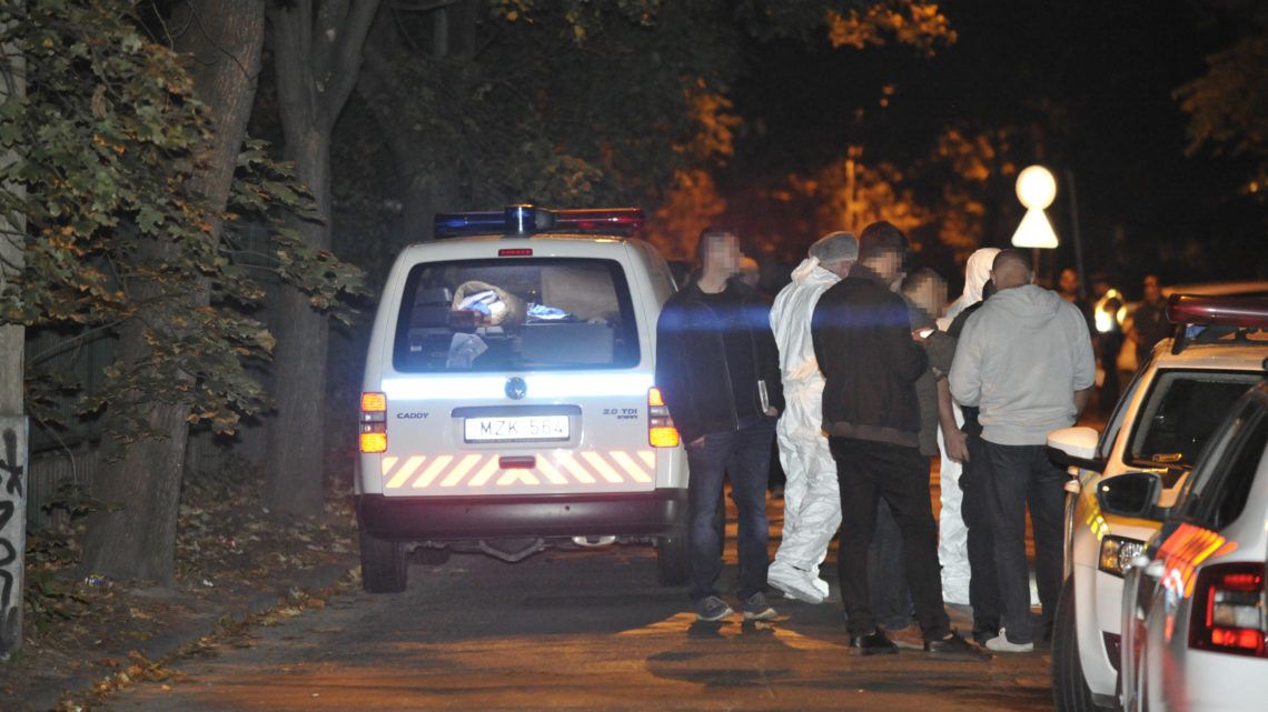 Kioltotta 18 éves barátnője életét, majd megbecstelenítette a holttestét, hogy ezzel is nehezítse a nyomozók munkáját: a piliscsévi lányra egy kertész talált rá