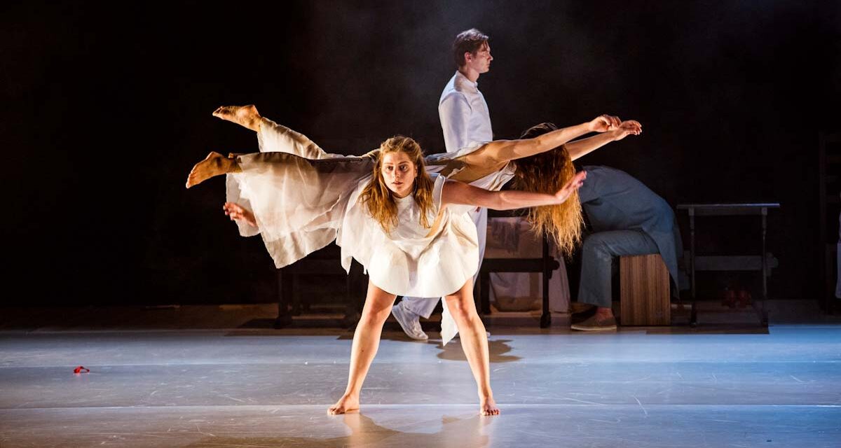 Táncszínház a Várkert bazárban, Öveges professzor nyomán a Csodák palotájában, Illúziók múzeuma, Kalandos erdő és virtuális csillagászat – hogy hétfőn se maradjunk jó programok nélkül