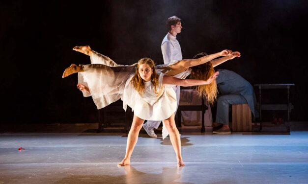 Táncszínház a Várkert bazárban, Öveges professzor nyomán a Csodák palotájában, Illúziók múzeuma, Kalandos erdő és virtuális csillagászat – hogy hétfőn se maradjunk jó programok nélkül