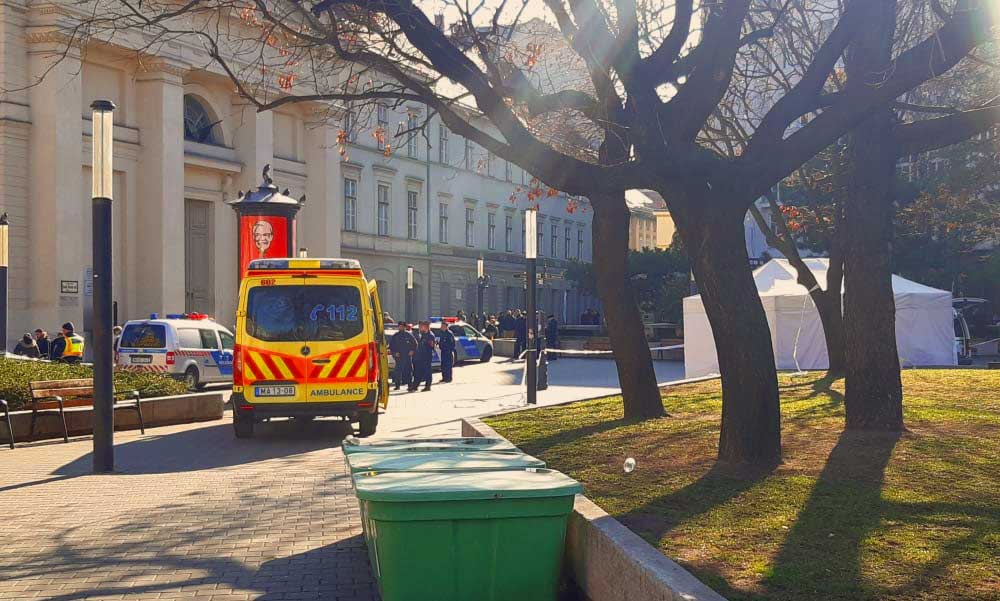 Deák téri késelés: a jobb megélhetés reményében költözött Budapestre Martin, akit egy lány miatt sebesített meg életveszélyesen egy másik fiatal