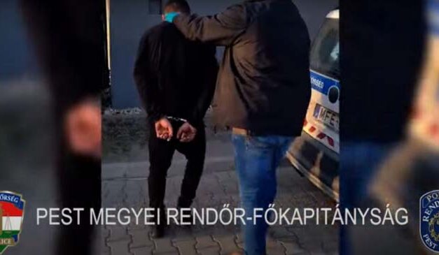 Berángatta a bokorba és az alsóneműjét is lehúzta egy munkából hazafelé tartó nőnek a Csepelen élő román férfi, az elkövetőről kiderült, hogy sem írni, sem olvasni nem tud