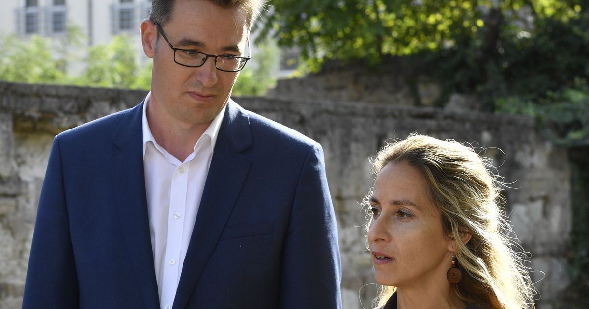 Karácsony Gergely állatvédelmi megbízottja indul a Monoron megbukott Gér Mihály helyett