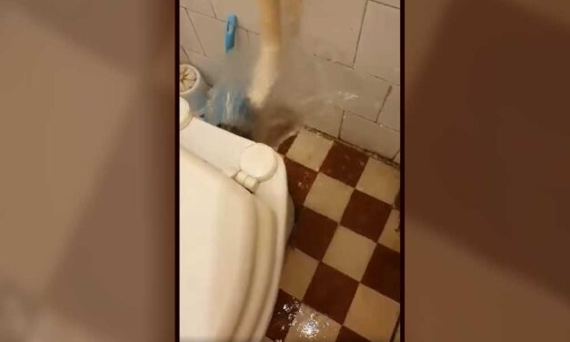 Pöcegödör a szentendrei mentőállomás, a 80 ezer ember életére figyelő mentősök vállalhatatlan körülmények dolgoznak, tényleg ez jár nekik?