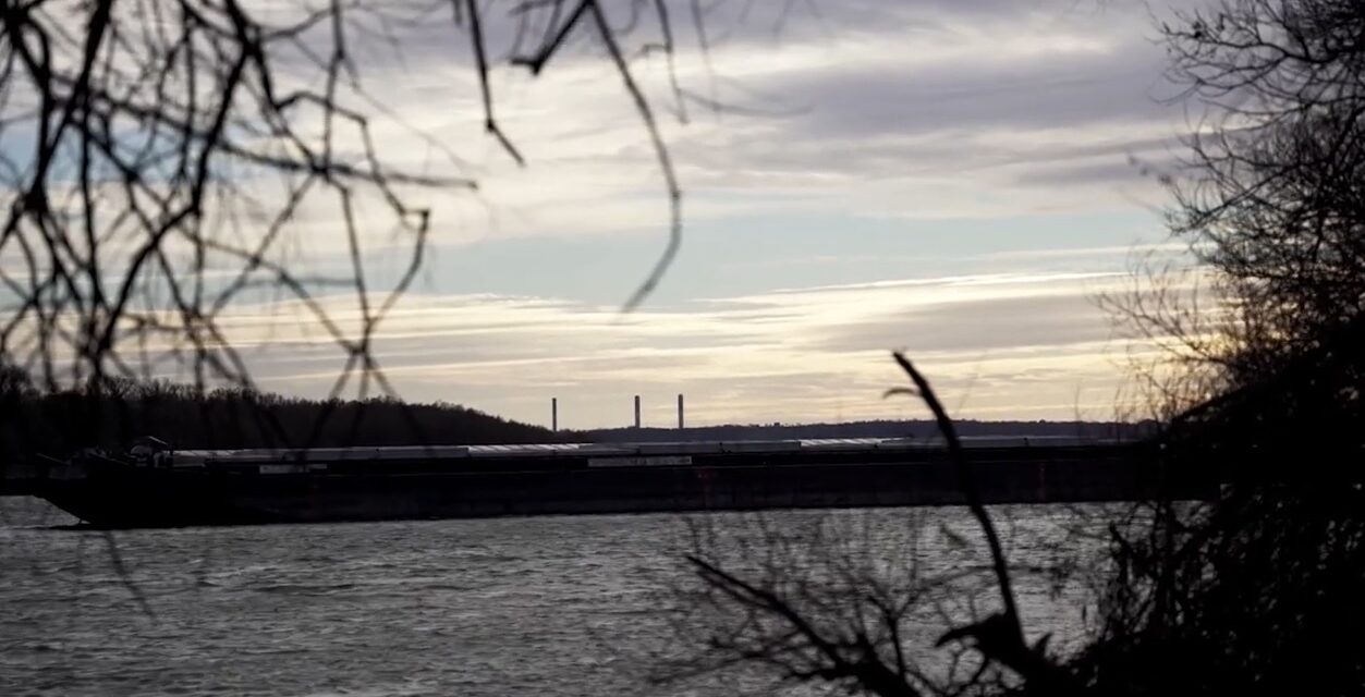 Hulladék borítja Budapest egyik legértékesebb zöldterületét: Karácsony Gergelyék így küzdenek a nagytétényi Duna-part megmentéséért – Videó