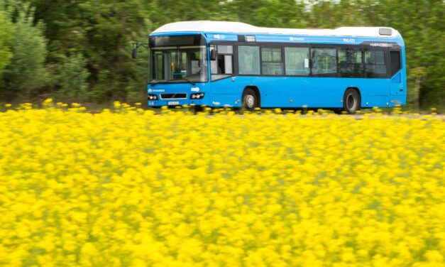 Átszállás nélkül lehet eljutni a belvárosból a Svábhegyre: Új buszjáratot indít a BKK