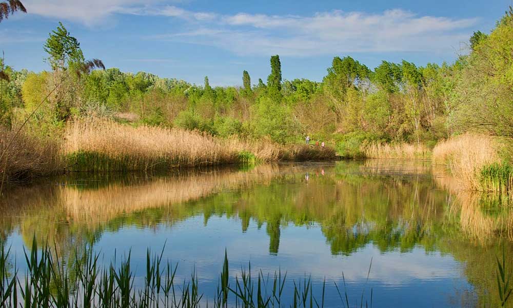 Felpörögtek a civilek, újabb tavat akarnak megmenteni: Az illegális szeméttől és a lakóparkoktól féltik a Csobaj-tavat Cinkotán