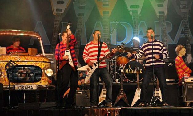 Madarak koncert Rákosszentmihályon, Legováros Budakeszin, kapakiállítás és vadnövényvacsora Kismaroson, Critical Csepp Józsefvárosban, faismereti kerékpáros barangolás Mátyásföldön, palántabörze a Virág Benedek Házban és borkóstoló a Föld Napján
