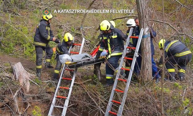 Szakadékba zuhant egy kisfiú Pécelnél, bravúros mentőakció indult a megmentésére – Videó