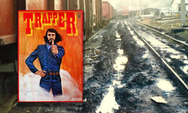 Emlékszel a Trapper farmerre? Mérgezett föld és toxikus anyagok maradtak utána Budakalászon, százezrek ivóvize van veszélyben, most közbelépett a minisztérium
