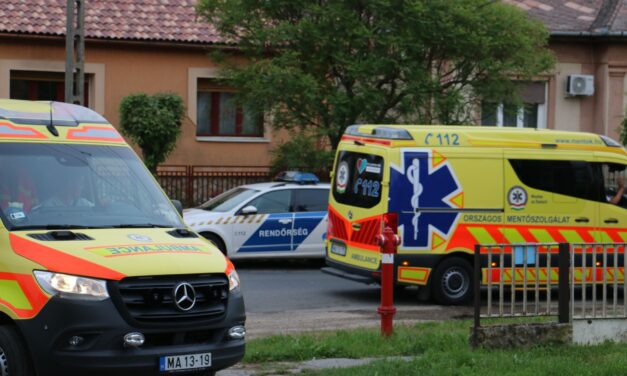 Tragédia: megölte gyermekét majd saját magával is végzett egy 41 éves férfi – Fotók