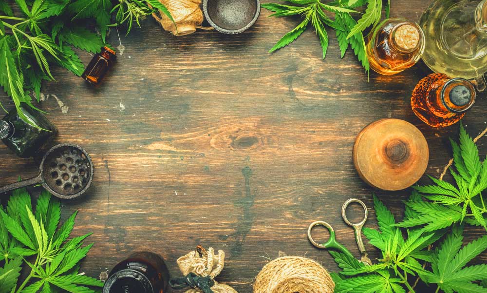 Melyik a hatásosabb: a CBD paszta vagy a CBD olaj?