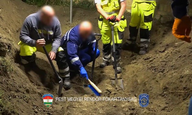 „Kétszer, háromszor megkínáltam a vassal” – 4 éve eltűnt holland férfi földi maradványait találták meg a szigetszentmiklósi családi ház udvarán, üzlettársa végzett vele