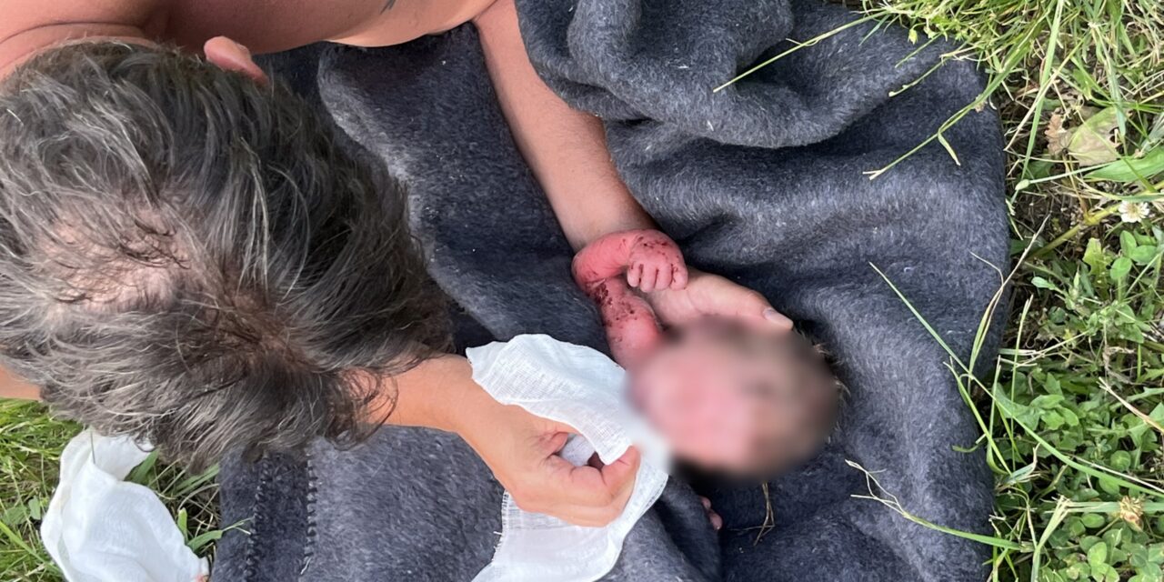 Elhagyott csecsemőt találtak egy szőlőhegyen – videó