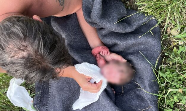 Elhagyott csecsemőt találtak egy szőlőhegyen – videó
