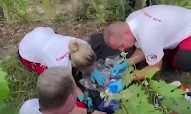 Meghalt a szőlőhegyen talált csecsemő