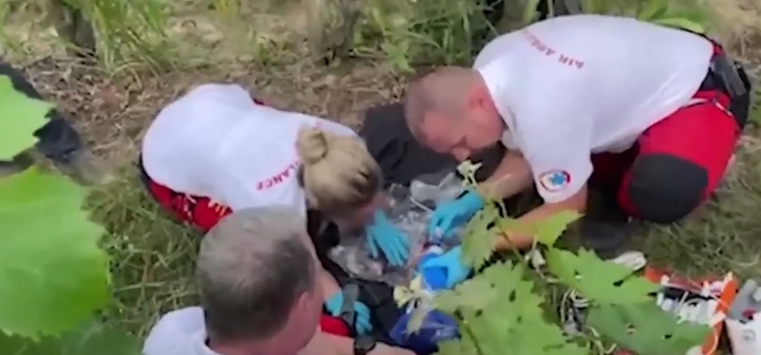 Meghalt a szőlőhegyen talált csecsemő
