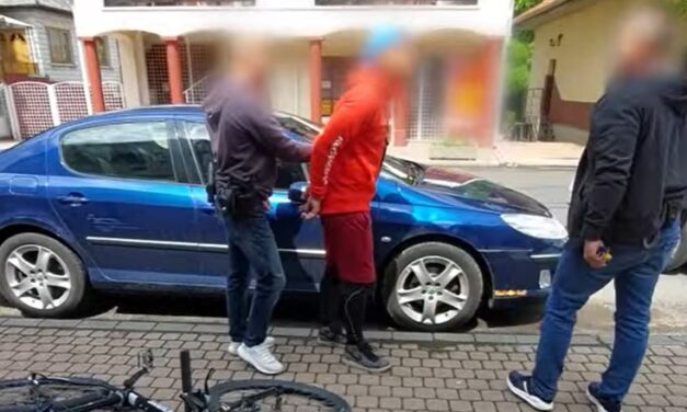 Hatalmas razzia Pest megyében: rajtaüttöttek a díler bandán, már jó ideje figyelték őket – videó