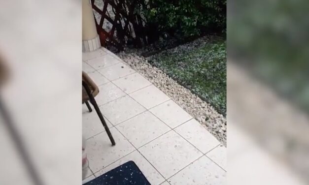 Ma is letarolták a viharok az országot: Pest megyében cseresznye nagyságú jég potyogott – videó