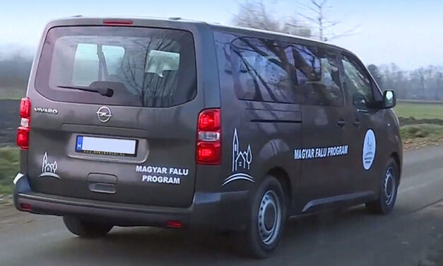 Halála pillanatában is a hőgutát kapott lányával volt az édesanyja