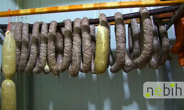 Undorítóan mocskos, patkányoktól hemzsegő helyen készültek azok a kolbászok, amelyeket budapesti piacokon is árulhattak, bezárta a koszüzemet a Nébih