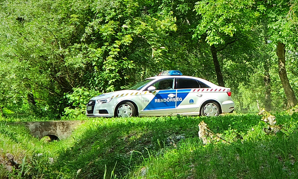 Gimnazisták találták meg a fiatal nő fejét a budapesti tóban, a rendőrség ezt követően még 56 testrészt fedezett fel – elképesztő mit művelt a tettes az áldozatával