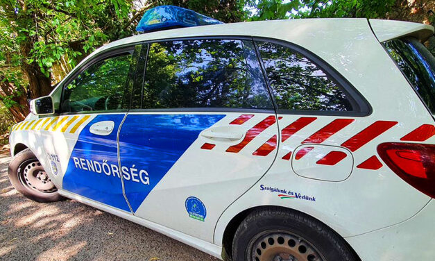 Gyomorforgató rémtett: 11-szer sebzett meg egy nő egy kutyát Pest vármegyében, nem élte túl a támadást a négylábú