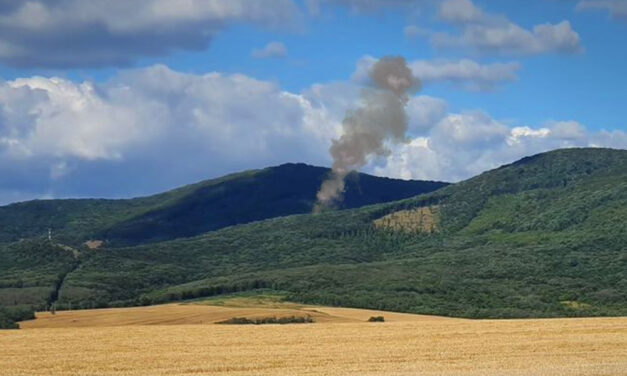 Erdőtűz Pilisszentlászlón: villámcsapás miatt gyulladhatott ki a növényzet, füstöl a hegyoldal