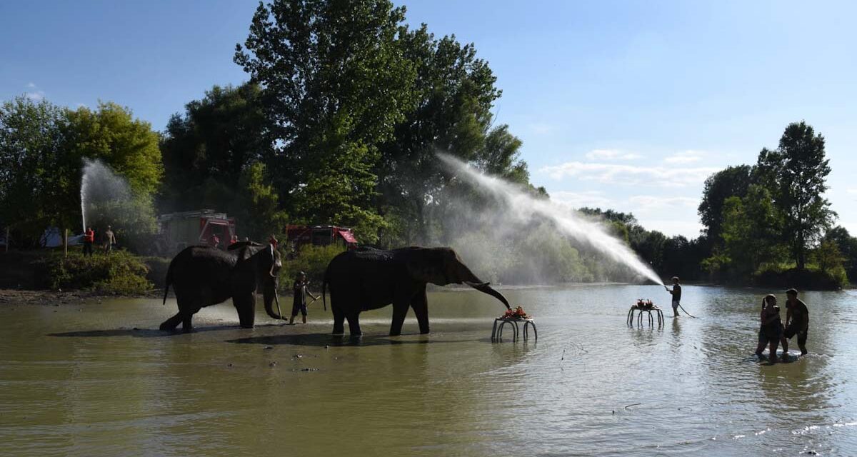 Duna-Part Feszt Ráckevén, Safari Park Nagykőrösön, Forma 1 a Hungaroringen, Nyári MondoCon, állati séta, kikötőkoncert, beevezés, BBQ party, koncertek, éjjel futóverseny és Strandok Éjszakája és sok más remek program a nyári hétvégére