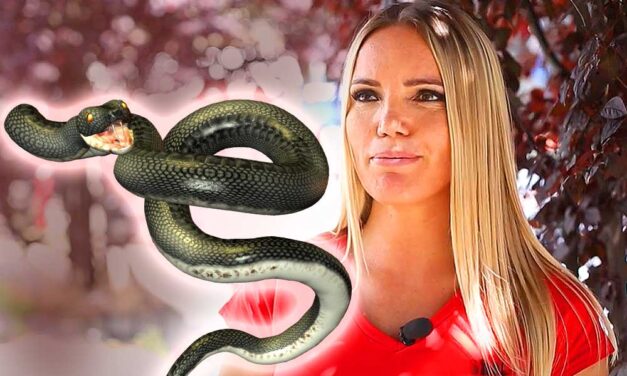 „Kiállnak a csavarok a testemből, elképesztően rossz érzés, nem bírom tovább” – nem javul a bizarr teaszeánszon megsérült VV Anett állapota