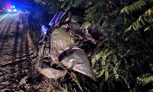 Hatalmas baleset az M2-esen: elaludt a volán mögött a Ford sofőrje, belerohant egy kamionba – Sokkoló fotók a helyszínről