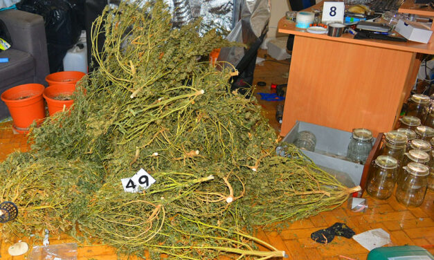 Hátast dobtak a szomszédok, amikor rádöbbentek, hogy a kedves srácok nagypályás drogdílerek a szemközti lakásban