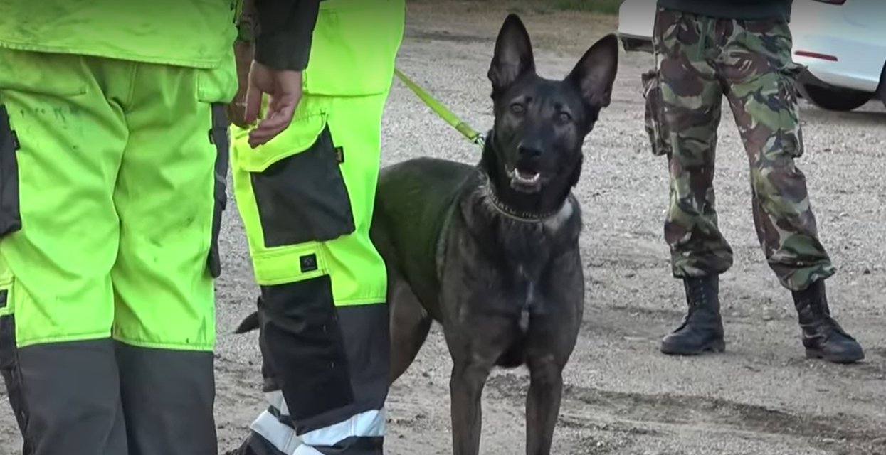 Egy hónapja nem találják a 49 éves eltűnt Pest megyei asszonyt, a rendőrök azonban nem adták fel a kutatást