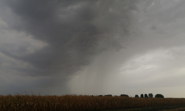 Kiálltak kirúgott vezetőik mellett az állami meteorológusok, közleményt fogalmaztak meg