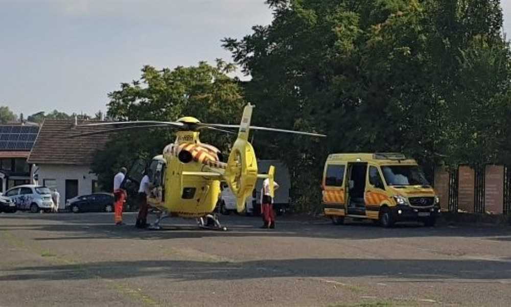 Megcsípte a darázs a zöldségest a szentendrei piacon – A helyszínen életét vesztette