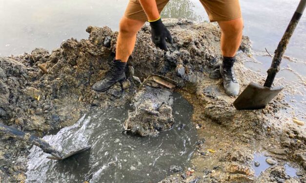 Rejtélyes emberi csontot találtak a Dunában Tökölnél, megrázó történet bontakozott ki belőle