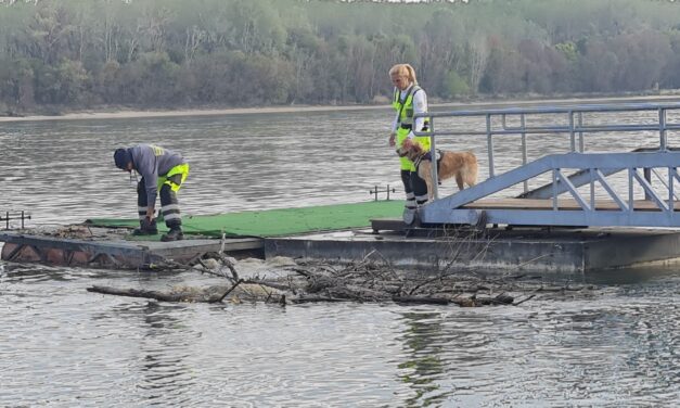 „Megbeszéltem vele, hogy másnap, eljön hozzám ebédre, de hiába vártam, nem érkezett meg” – megszólalt annak a férfinek a testvére, aki kutyájával együtt halt meg a Dunában