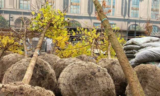 „Szuper zöld” lesz a megújuló Blaha Lujza tér